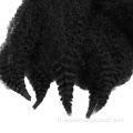 Afro Curly Crochet Braids Cheveux Fluffy Marley Braid